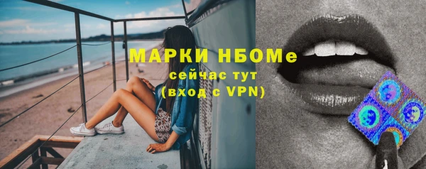твердый Алзамай