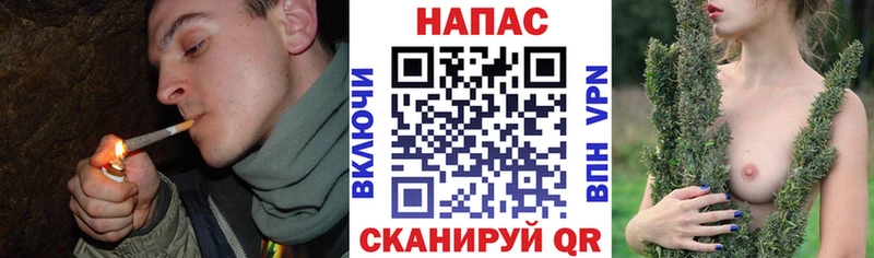 Конопля планчик  Грайворон 